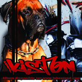 lp kiston k10